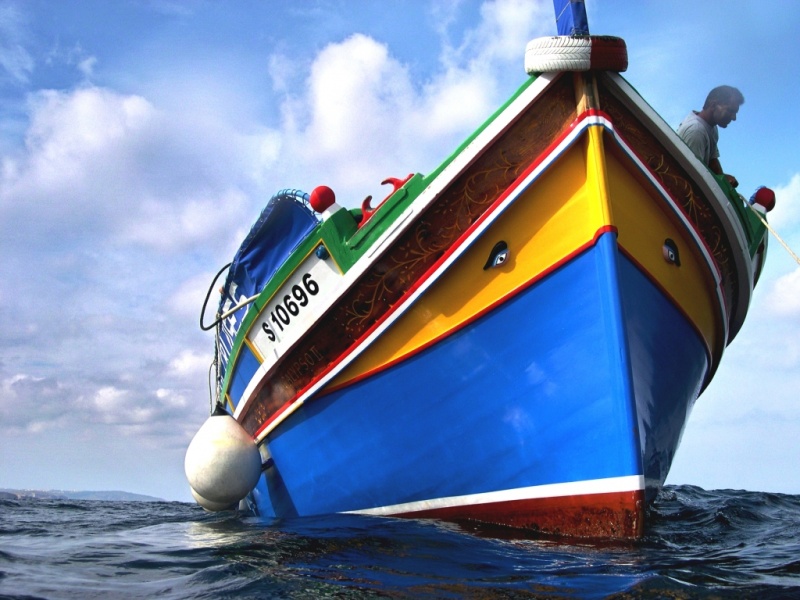 Octopus Garden Malta at James Gill blog