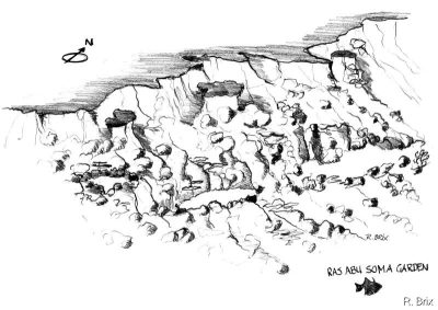 Ras Abu Soma Garden