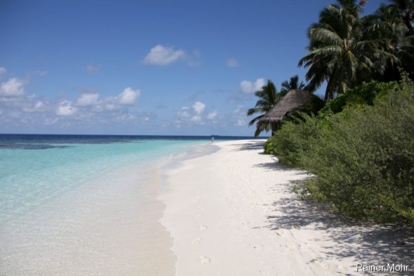 Malediven-Strand-Tauchreisen