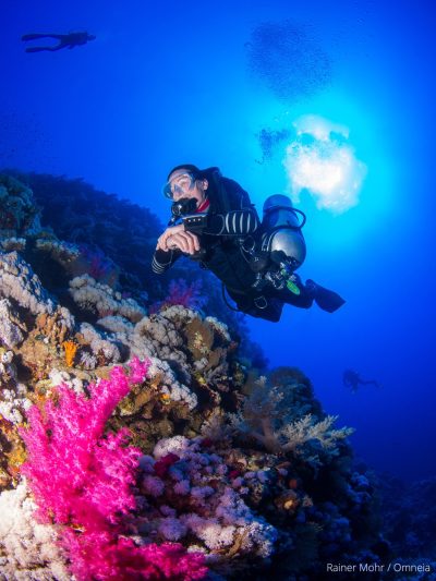 Sidemount Taucherin